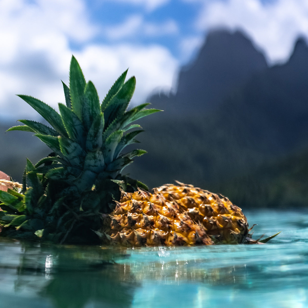 Pineapple partially submerged in clear water with a mountainous background